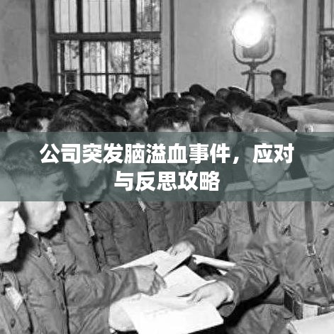 公司突发脑溢血事件，应对与反思攻略