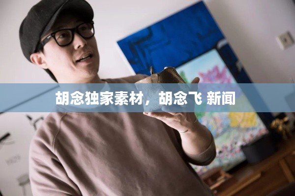 胡念独家素材，胡念飞 新闻 