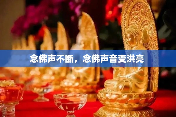 张弛不定 第2页