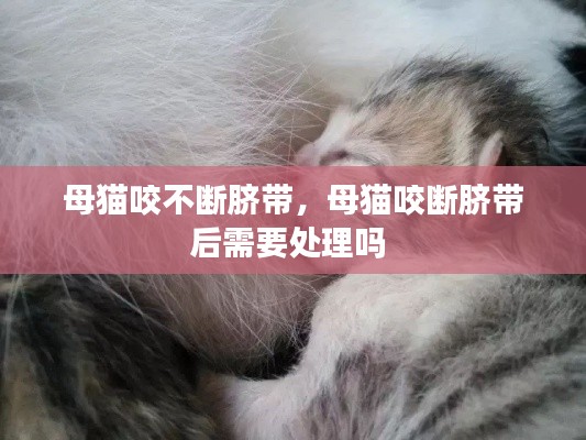 人贵自立 第2页