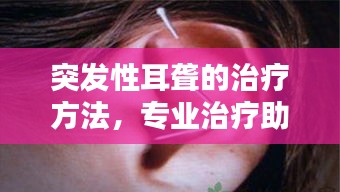 移罇就教 第2页