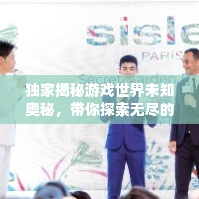 独家揭秘游戏世界未知奥秘，带你探索无尽的游戏秘境