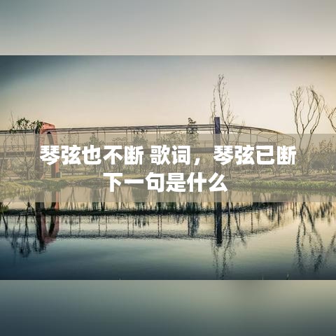 琴弦也不断 歌词，琴弦已断下一句是什么 