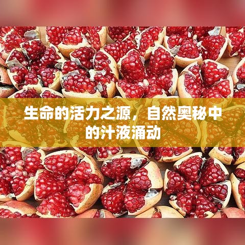生命的活力之源，自然奥秘中的汁液涌动