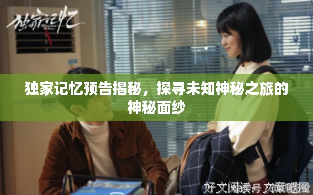 独家记忆预告揭秘，探寻未知神秘之旅的神秘面纱