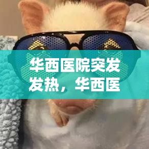 华西医院突发发热，华西医院发热门诊电话 