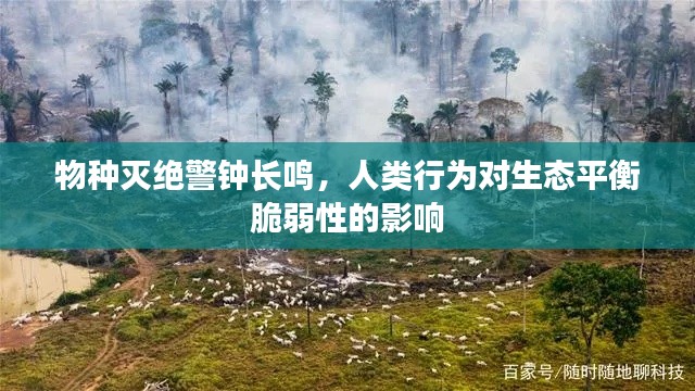 物种灭绝警钟长鸣，人类行为对生态平衡脆弱性的影响