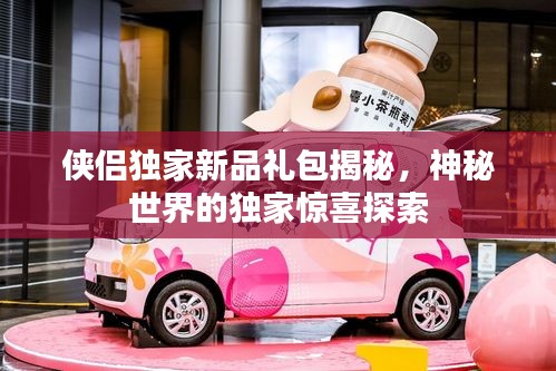 侠侣独家新品礼包揭秘，神秘世界的独家惊喜探索