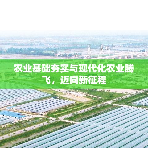 落土飞岩 第2页