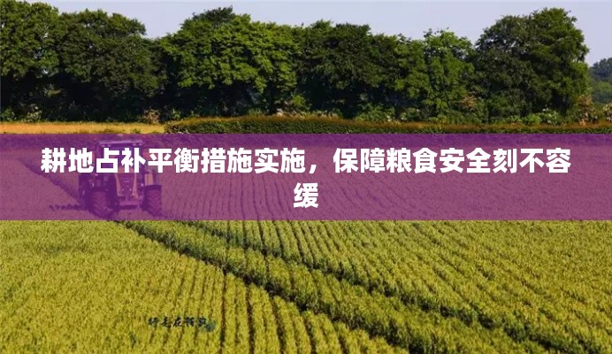 耕地占补平衡措施实施，保障粮食安全刻不容缓