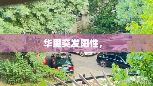第644页