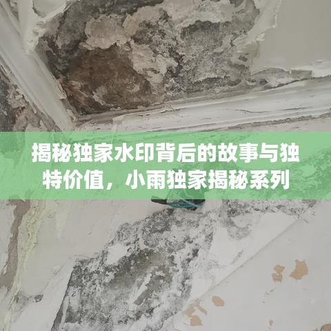 揭秘独家水印背后的故事与独特价值，小雨独家揭秘系列