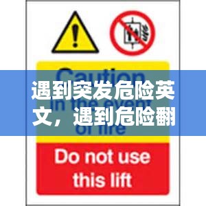 遇到突发危险英文，遇到危险翻译 