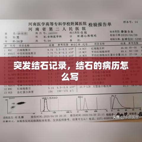越鸟南栖 第2页