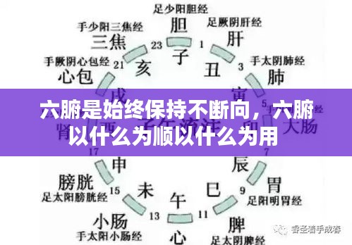 夫妻本是同林鸟 第2页