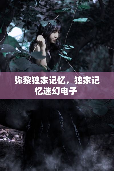 弥黎独家记忆，独家记忆迷幻电子 