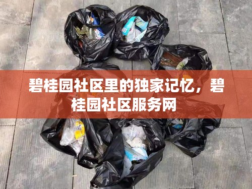 碧桂园社区里的独家记忆，碧桂园社区服务网 