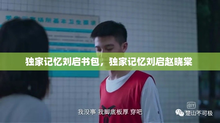 独家记忆刘启书包，独家记忆刘启赵晓棠 