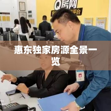 惠东独家房源全景一览
