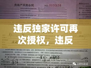 违反独家许可再次授权，违反独家代理权合同违约责任 
