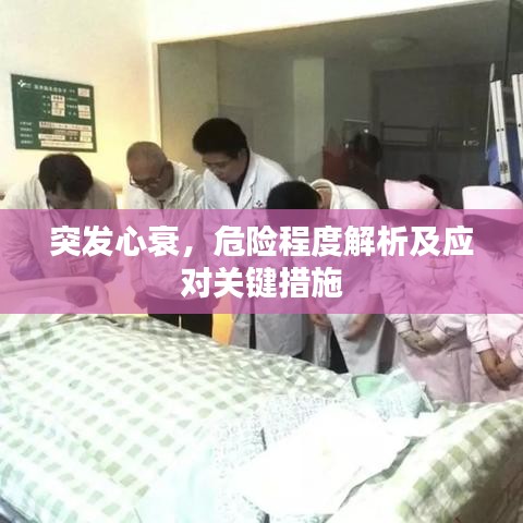 突发心衰，危险程度解析及应对关键措施