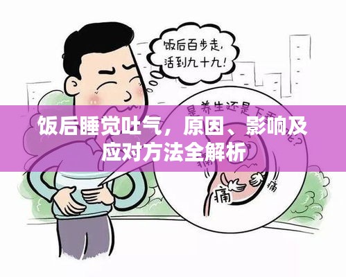 饭后睡觉吐气，原因、影响及应对方法全解析