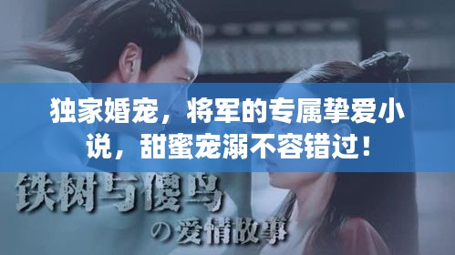 独家婚宠，将军的专属挚爱小说，甜蜜宠溺不容错过！