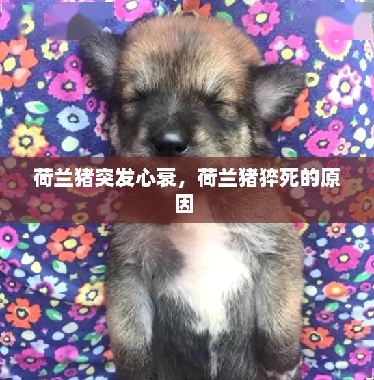 十年磨剑 第2页