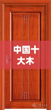 中国十大木门品牌图片与简介一网打尽
