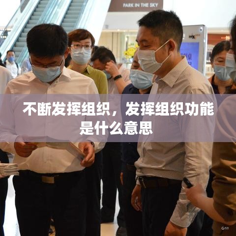 不断发挥组织，发挥组织功能是什么意思 