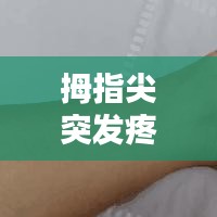 勇往直前 第2页