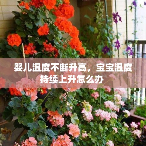 婴儿温度不断升高，宝宝温度持续上升怎么办 