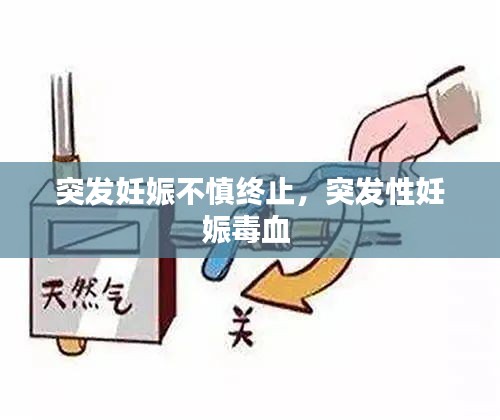 突发妊娠不慎终止，突发性妊娠毒血 