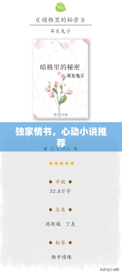 独家情书，心动小说推荐