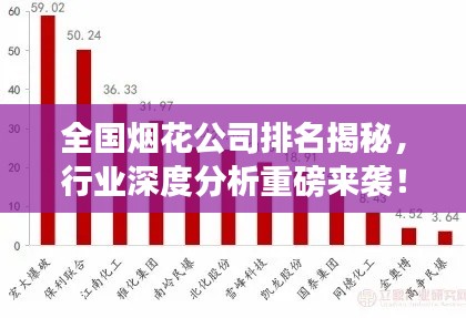 全国烟花公司排名揭秘，行业深度分析重磅来袭！