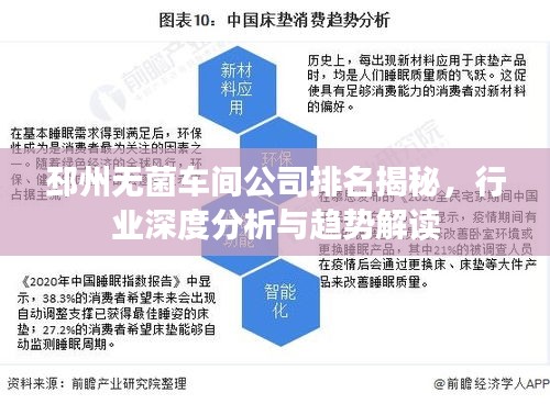邳州无菌车间公司排名揭秘，行业深度分析与趋势解读