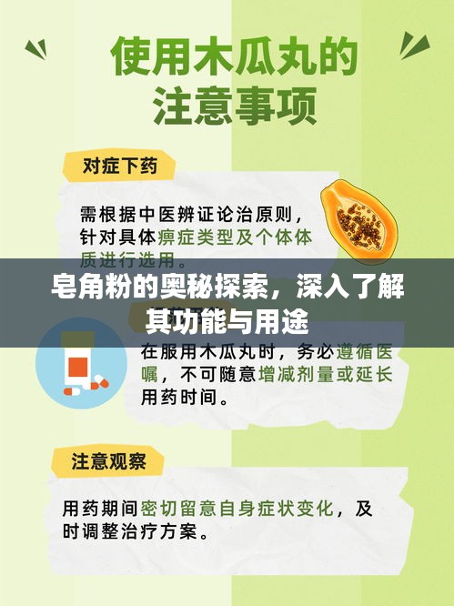 皂角粉的奥秘探索，深入了解其功能与用途