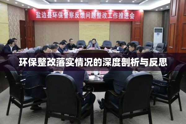 环保整改落实情况的深度剖析与反思