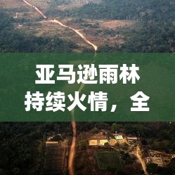 亚马逊雨林持续火情，全球面临严峻生态挑战
