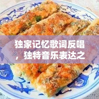 独家记忆歌词反唱，独特音乐表达之道