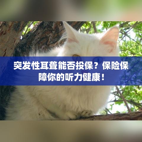 突发性耳聋能否投保？保险保障你的听力健康！