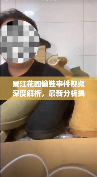 景江花园偷鞋事件视频深度解析，最新分析揭秘真相