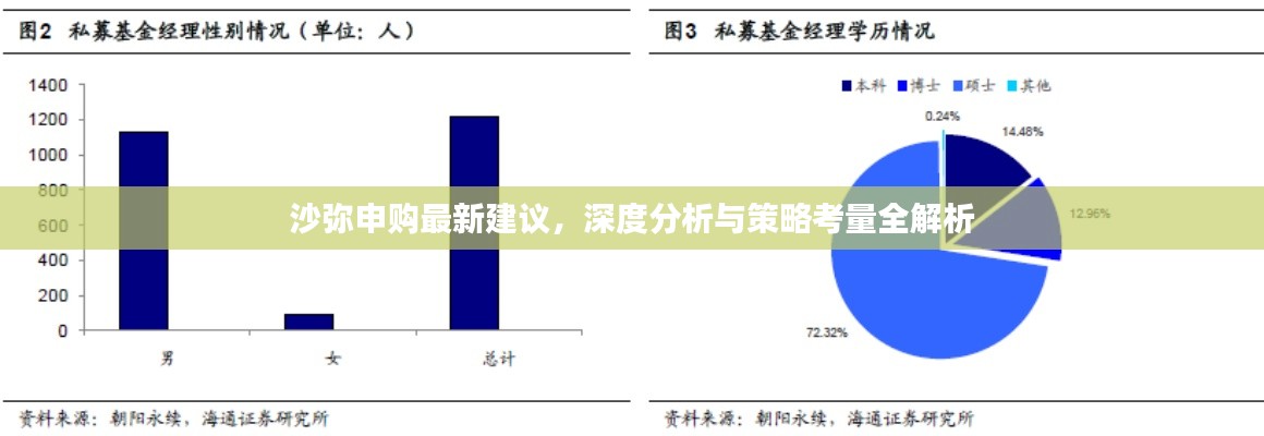 沙弥申购最新建议，深度分析与策略考量全解析