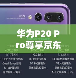 华为P20 Pro尊享京东独家优惠，专业摄影与顶尖性能的完美融合！
