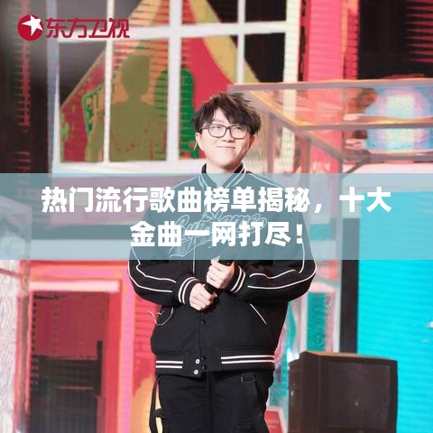 热门流行歌曲榜单揭秘，十大金曲一网打尽！