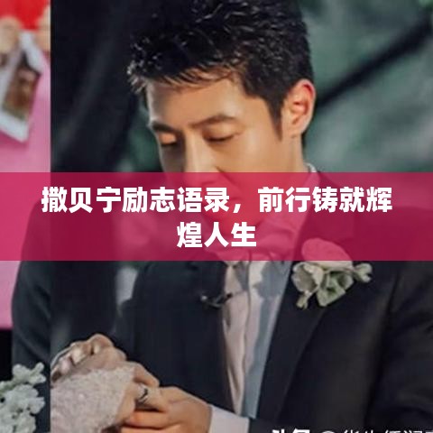 撒贝宁励志语录，前行铸就辉煌人生