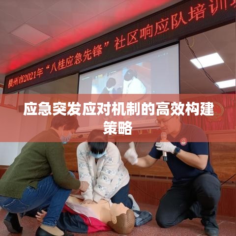 应急突发应对机制的高效构建策略