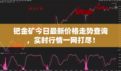 钯金矿今日最新价格走势查询，实时行情一网打尽！