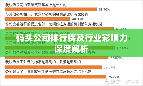 码头公司排行榜及行业影响力深度解析