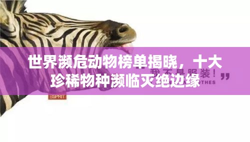 世界濒危动物榜单揭晓，十大珍稀物种濒临灭绝边缘